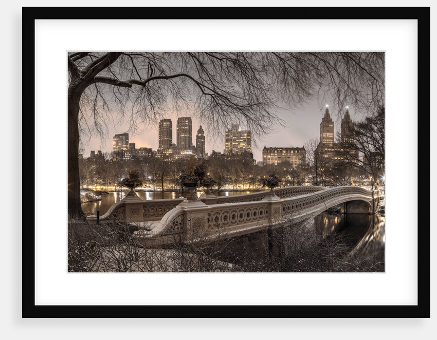 Central park, New York by Assaf Frank